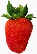 Strawberry Nutrition