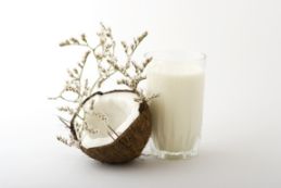 coconut smoothie recipe