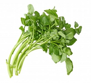 Watercress Recipe