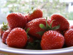 Fresh Strawberries